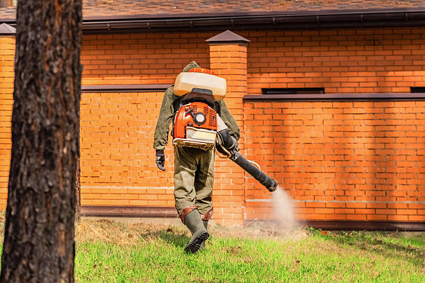 Top rated local Ant Control specialists in Bellevue, OH